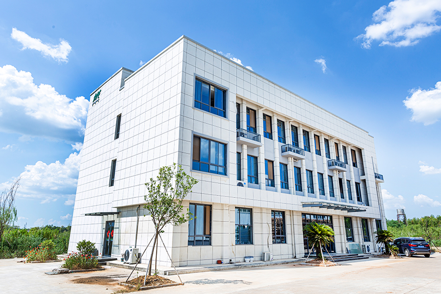 কোম্পানি বাস্তব ছবি