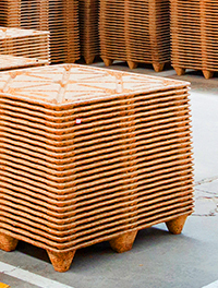 রনসুন আমদানি ও রপ্তানি কোং, লি.