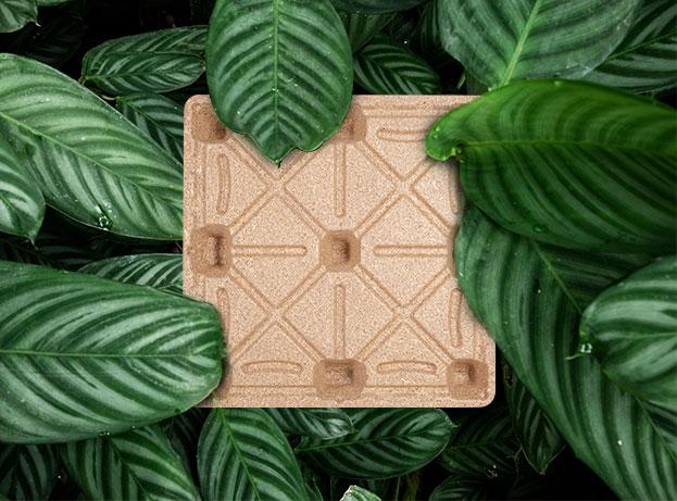 রনসুন আমদানি ও রপ্তানি কোং, লি.